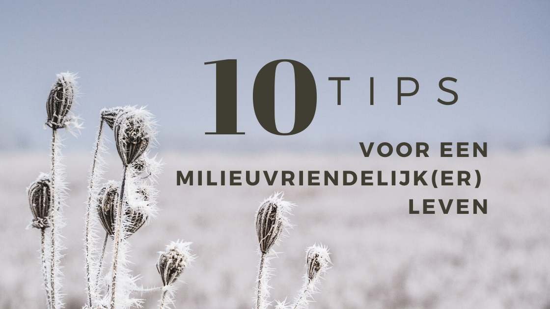 10 tips voor een milieuvriendelijk(er) leven