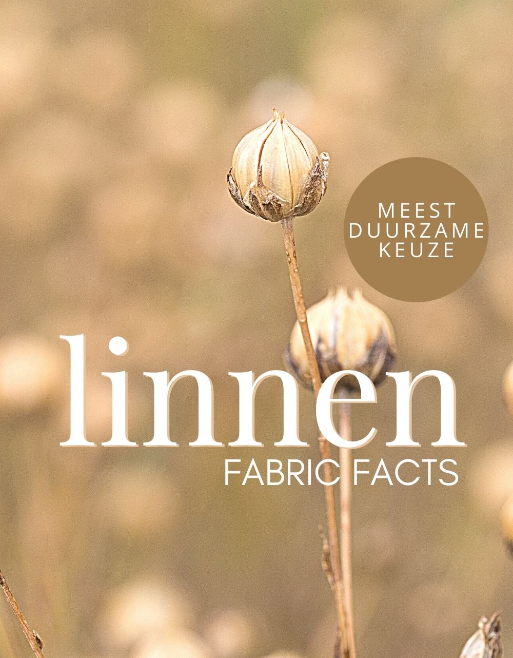fabric facts: linnen, de meest duurzame stof