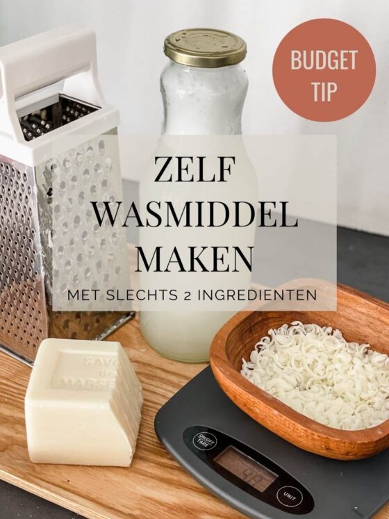 budget tip: zelf wasmiddel maken met slechts twee ingrediënten