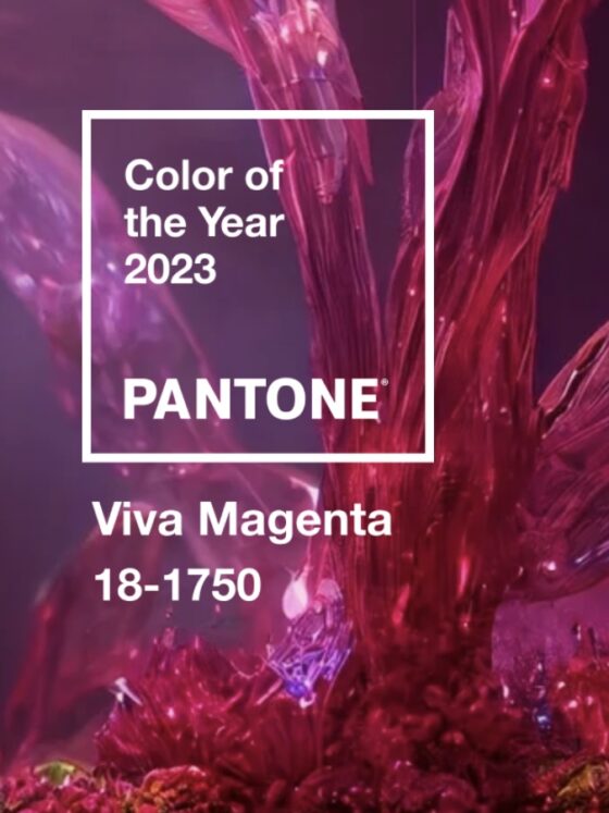 dit is dè kleur van 2023